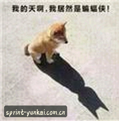 大鹏