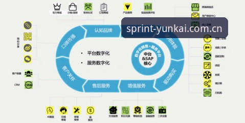 资深用户分享：云开数字之旅高效使用技巧与实战心得